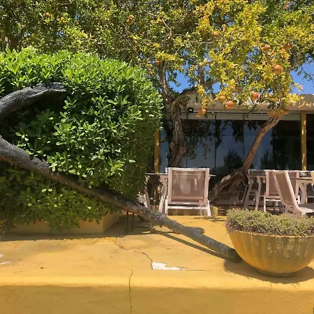 157, Pedras D'el Rei タヴィラ