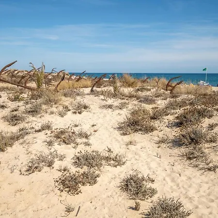 Apartament 157, Pedras D'el Rei Tavira