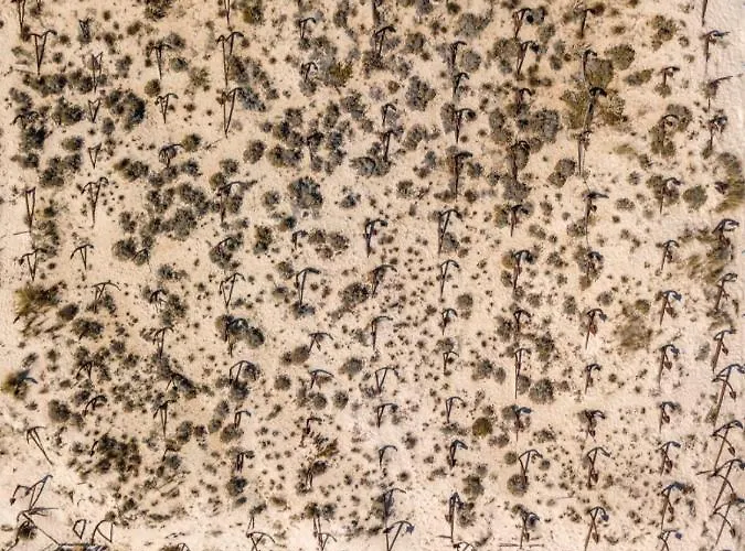 157, Pedras D'el Rei