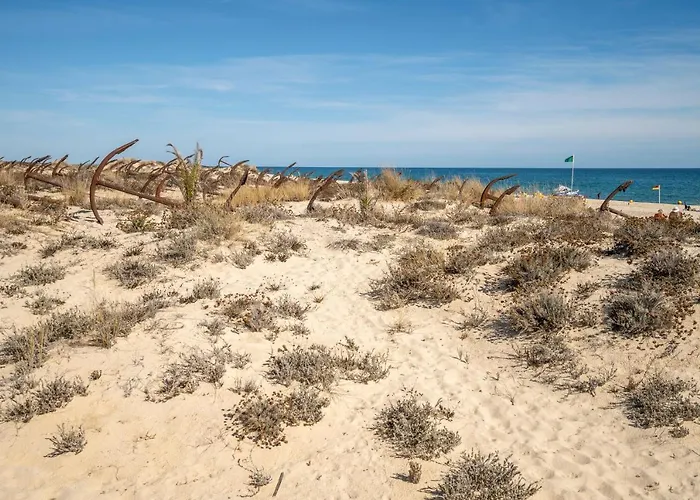 Apartman 157, Pedras D'el Rei Tavira